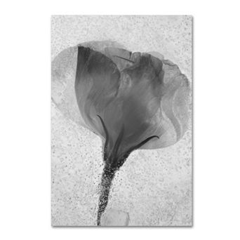 Trademark Fine Art Flowers on Ice 2 Canvas Wall Art