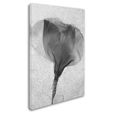 Trademark Fine Art Flowers on Ice 2 Canvas Wall Art