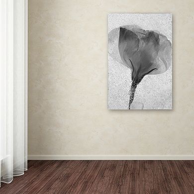 Trademark Fine Art Flowers on Ice 2 Canvas Wall Art