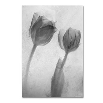 Trademark Fine Art Flowers on Ice-1 Canvas Wall Art