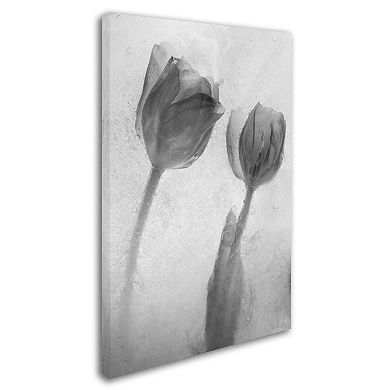 Trademark Fine Art Flowers on Ice-1 Canvas Wall Art