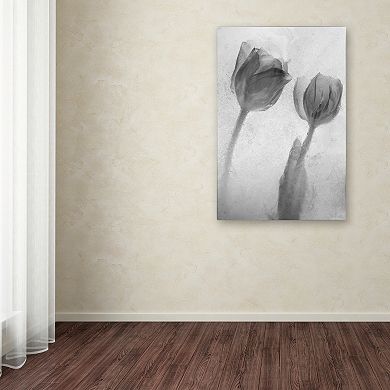 Trademark Fine Art Flowers on Ice-1 Canvas Wall Art