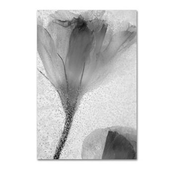 Trademark Fine Art Flowers on Ice-13 Canvas Wall Art