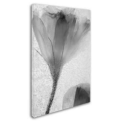 Trademark Fine Art Flowers on Ice-13 Canvas Wall Art