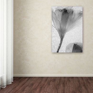 Trademark Fine Art Flowers on Ice-13 Canvas Wall Art