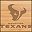 Houston Texans