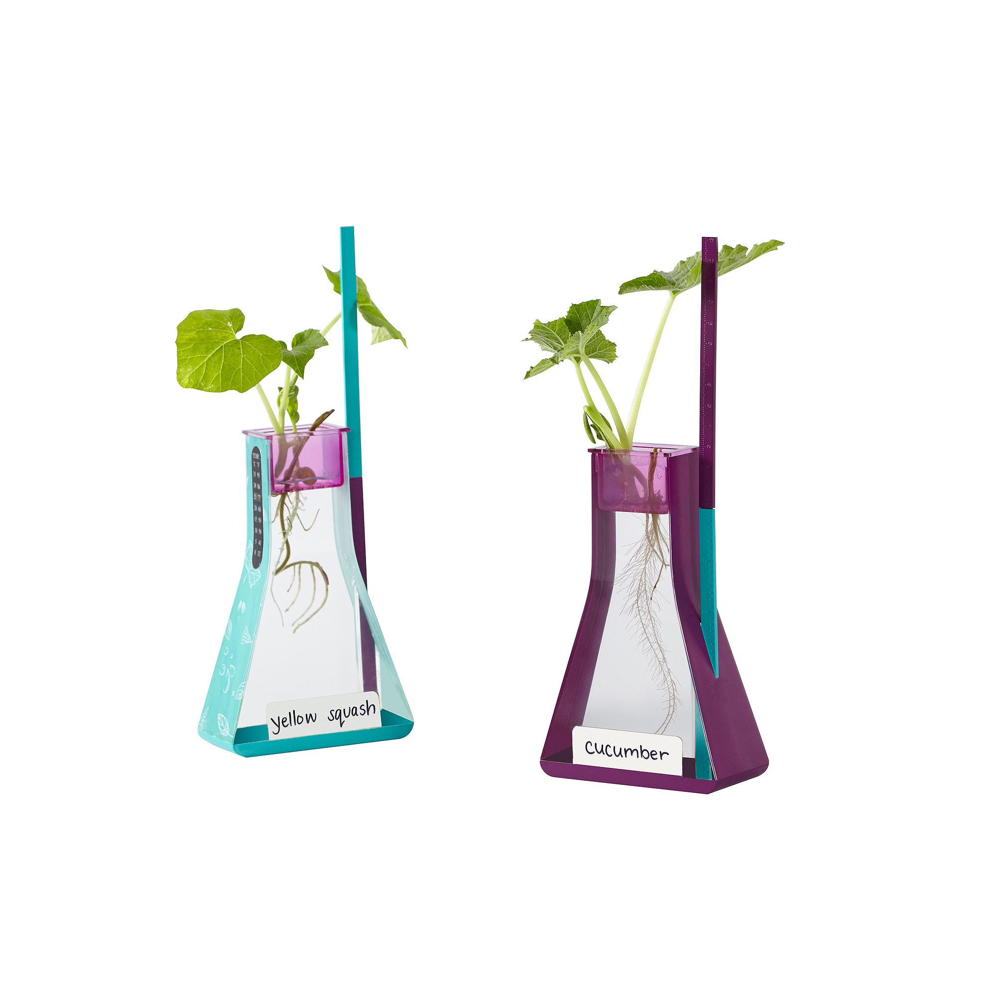Educational Insights Nancy Bs Science Club Way To Grow Hydroponics Kit & G