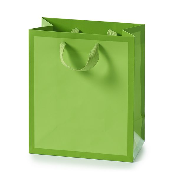 Hallmark Small Green Gift Bag
