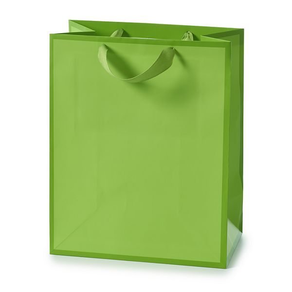 Hallmark Large Green Gift Bag