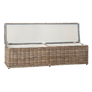 Safavieh Caius Wicker Trunk
