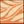 Natural Terracotta