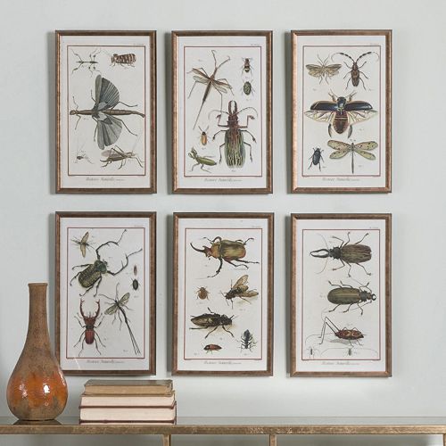 Insects Framed Wall Art 6-piece Set