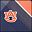 Auburn Tigers
