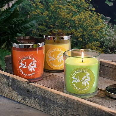 LumaBase 2.5" Citronella Mason Jar Candle 6-piece Set