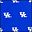 Kentucky Wildcats