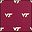 Virginia Tech Hokies