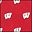 Wisconsin Badgers