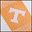 Tennessee Volunteers