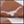 Texas Longhorns