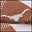 Texas Longhorns