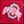 Ohio State Buckeyes