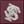 Florida State