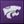 Kansas State Wildcats