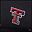 Texas Tech Red Raiders