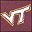 Virginia Tech Hokies