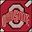 Ohio State Buckeyes