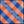 Florida Gators