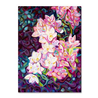 Trademark Fine Art Cascade Canvas Wall Art