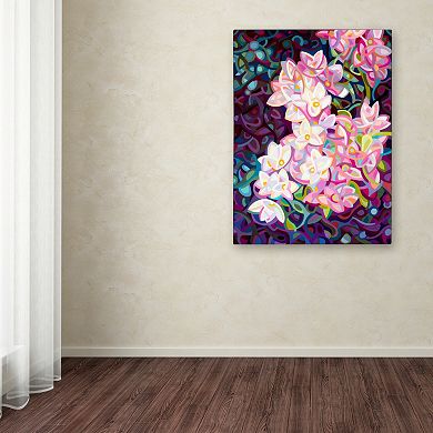 Trademark Fine Art Cascade Canvas Wall Art