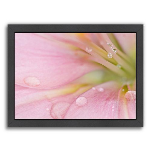 Americanflat Lily With Raindrops Framed Wall Art