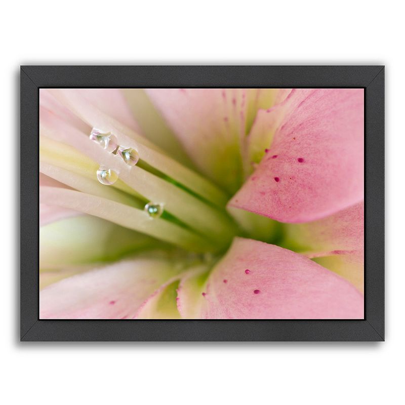 Americanflat Lily With Raindrops II Framed Wall Art, Multicolor, Medium
