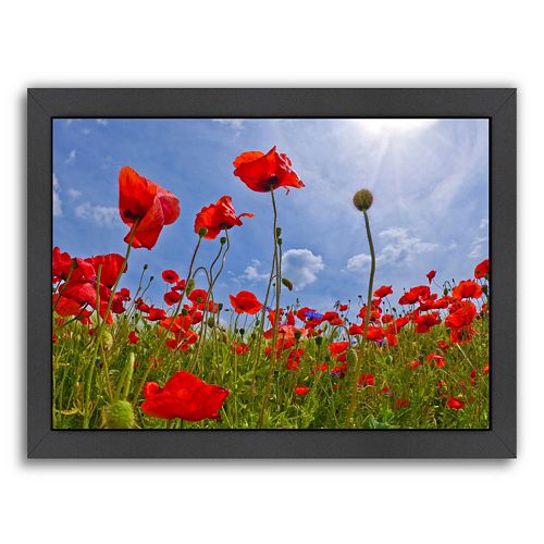 Americanflat Field Of Poppies Framed Wall Art