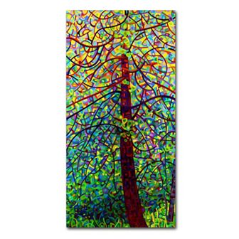 Trademark Fine Art Mandy Budan "Kaleidoscope" Canvas Wall Art