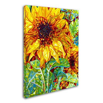 Trademark Fine Art Mandy Budan "Summer In The Garden" Canvas Wall Art
