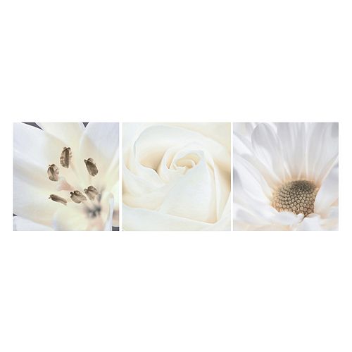 Nexxt Shutter Canvas Lily, Rose & Daisy Wall Art Set