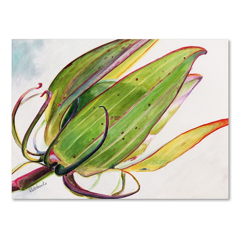 Trademark Fine Art Flower Pod Canvas Wall Art, Green