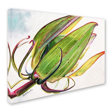 Trademark Fine Art Flower Pod Canvas Wall Art