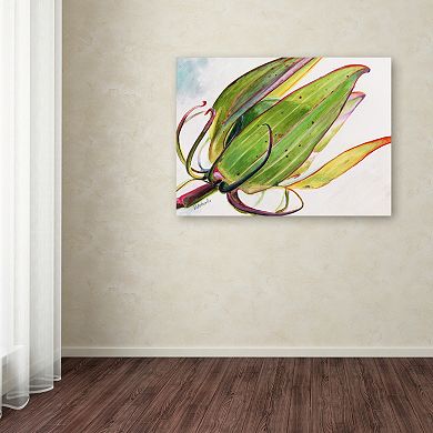 Trademark Fine Art Flower Pod Canvas Wall Art