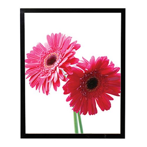 Nexxt Urban 20″ x 24″ Poster Frame
