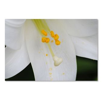 Trademark Fine Art Adore You Canvas Wall Art