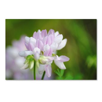 Trademark Fine Art Calm Heart Canvas Wall Art