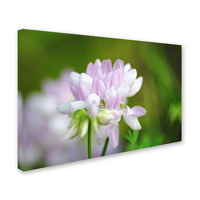 Trademark Fine Art Calm Heart Canvas Wall Art