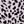 Leopard Print