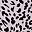 Leopard Print