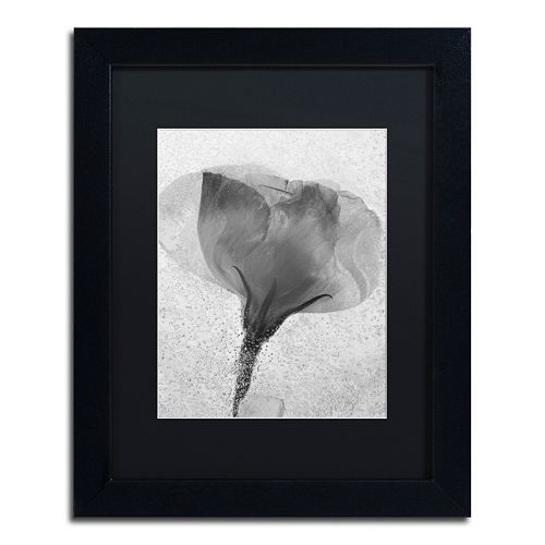 Trademark Fine Art Flowers on Ice Framed Wall Art