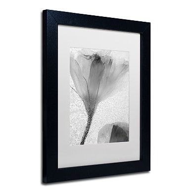 Trademark Fine Art Flowers on Ice-13 Matted Framed Wall Art